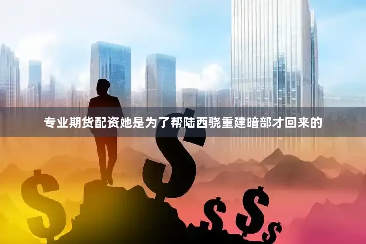 专业期货配资她是为了帮陆西骁重建暗部才回来的